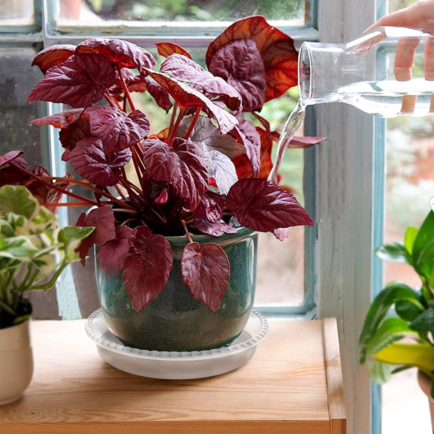 6 Pack Clear Plant Saucer 5 6 8 10 12 14 Inch, Plastic Plant Trays for Indoor, round Flower Plant Pot Saucer, Sturdy Plant Water Catcher Tray image number 6