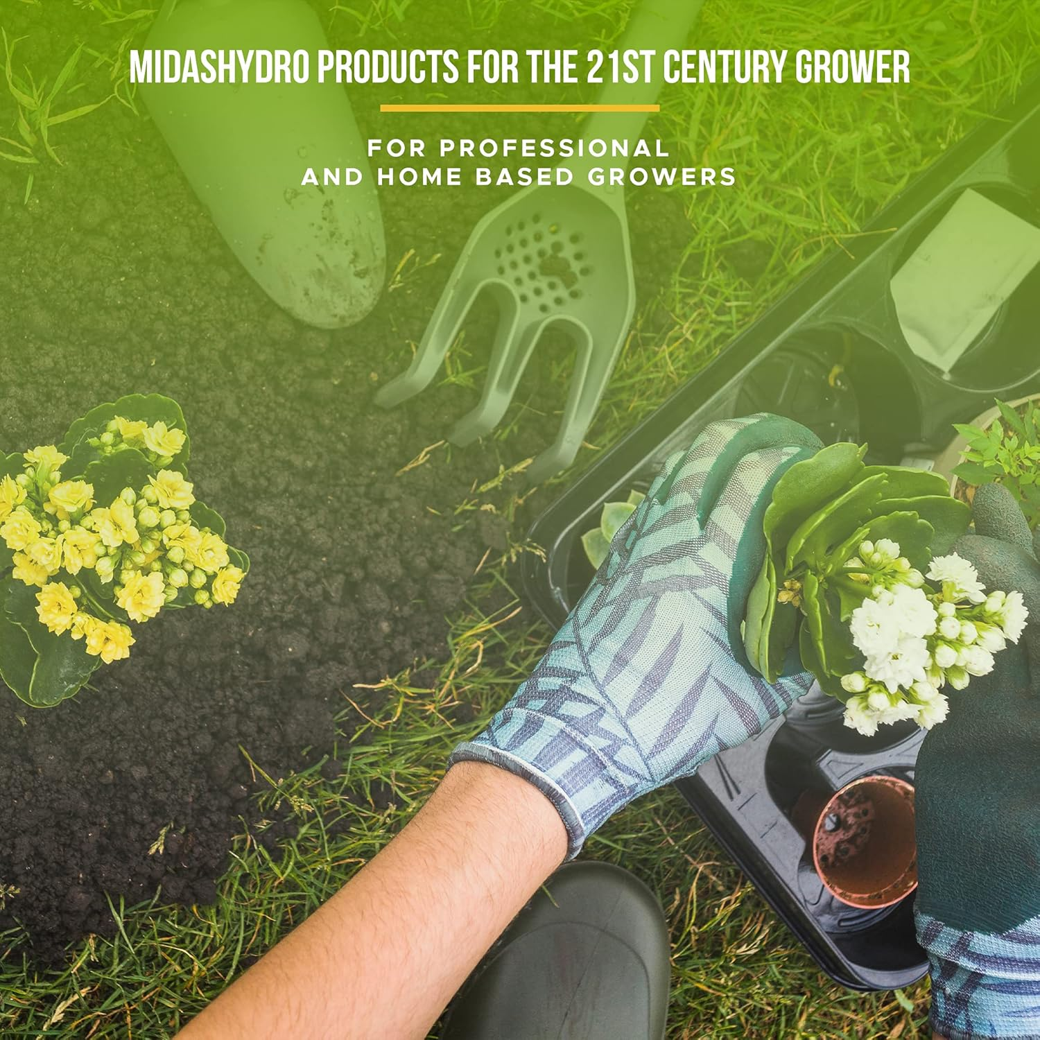 Midas Hydro Products Rooting Gel - .35 IBA Rooting Hormone - Cloning Gel - 4Oz - Plant Cloning - Rooting Gel for Professional and Home Based Growers image number 5