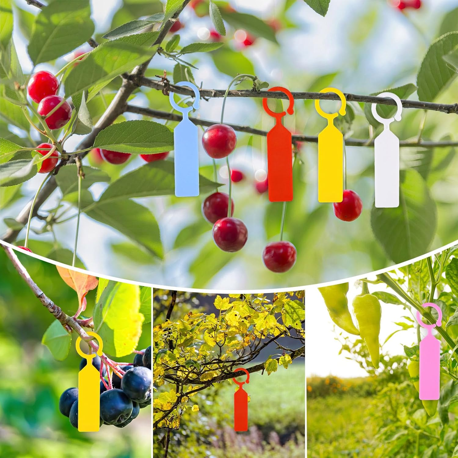 160 PCS Plastic Plant Labels, Plant Tags for Outdoor Garden Waterproof, Hanger Tags for Plants, Potted Plants, Nurseries, Trees, Gardening (Colorful) image number 3