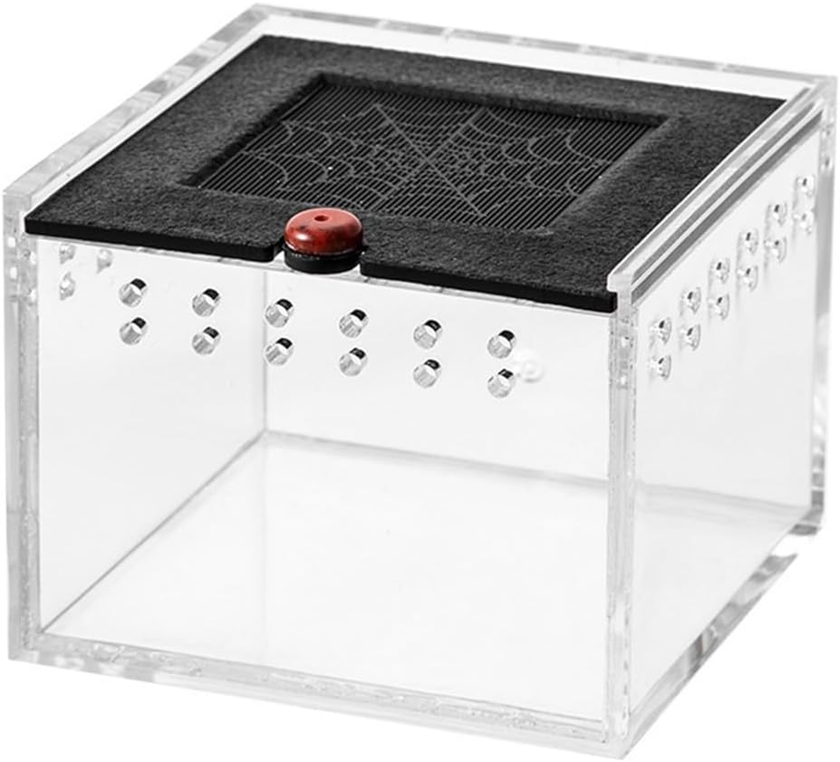 AIMALL Acrylic Reptile Climbing Pet Enclosure, Transparent Spider and Lizard Breeding Terrarium, Lightweight and Durable Design