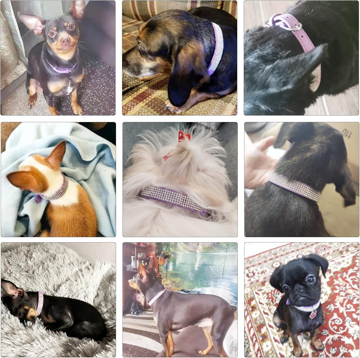 Rhinestone Dog Collar Pretty Rainbow Bling Fancy Dog Collars Soft Leather Pet Puppy Necklace (Lavender, M) image number 6