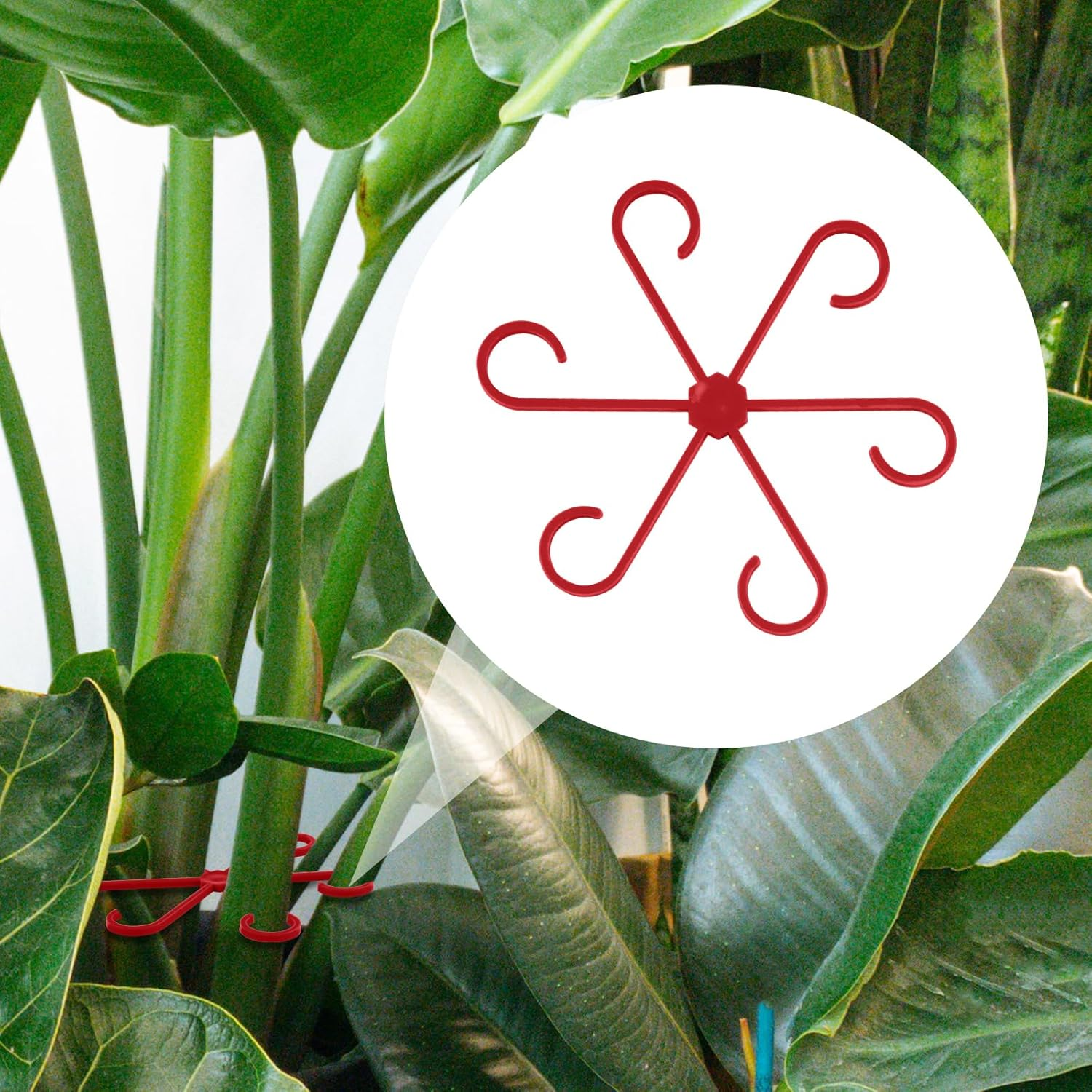 4Pcs Climbing Houseplant Stem Supports, Plastic Plant Climbers Stem Holders Reusable Flower Plant Stakes Trellis Stem Hook Growth Accessories for Plant (Red) image number 2