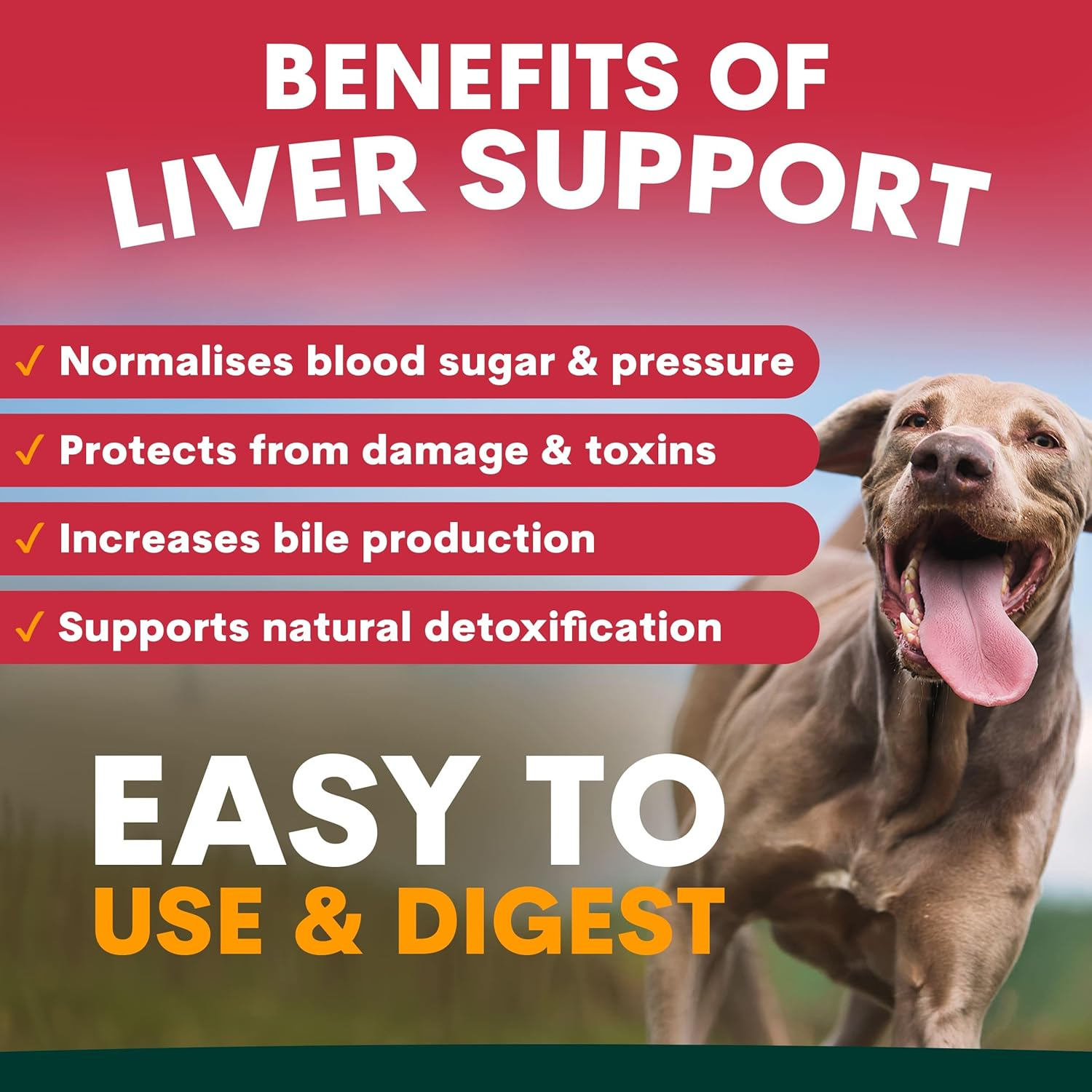 Petz Park Liver Support for Dogs - Dog Supplements Made in Australia - Milk Thistle Supplement for Dogs, Liver Detox - 90 Scoops image number 4