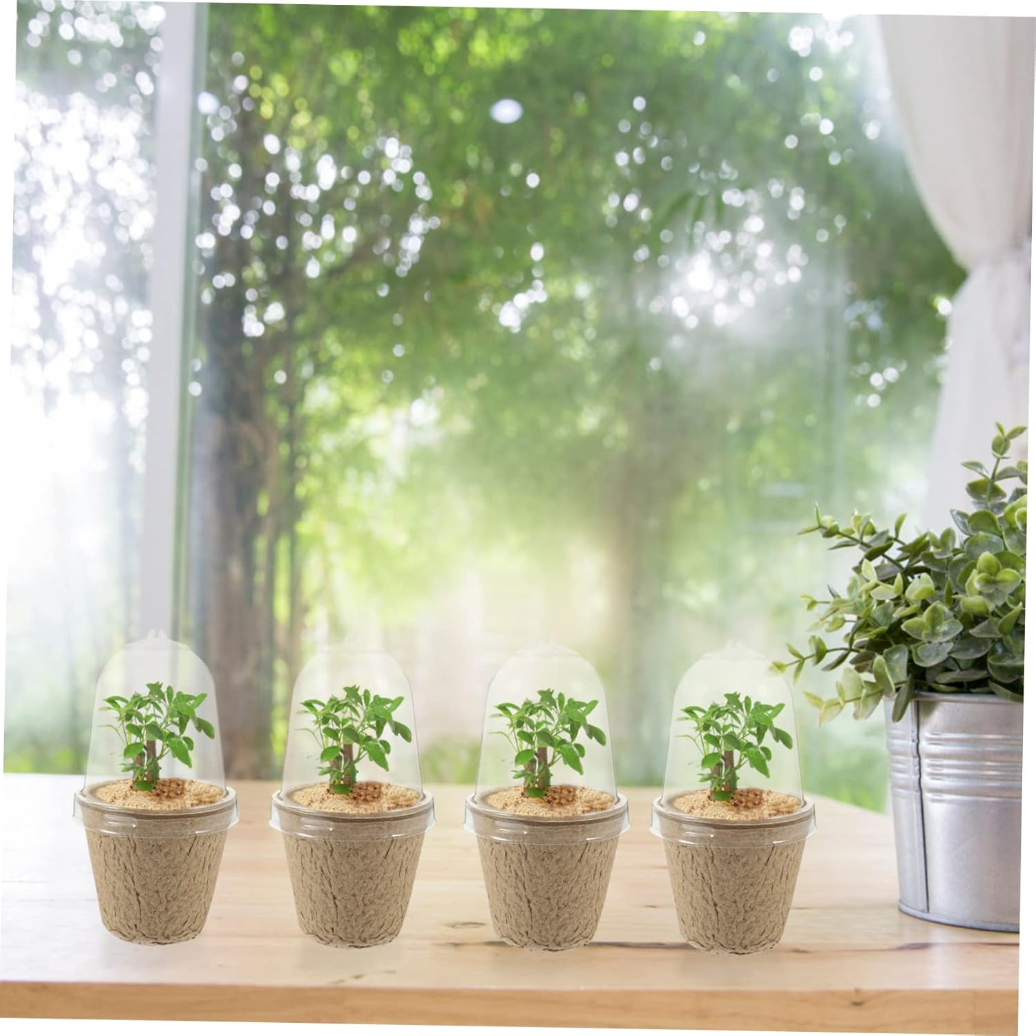 20Pcs Pulp Seedling Cups Plant Containers for Succulent Bonsai Garden Nursery Pots image number 6