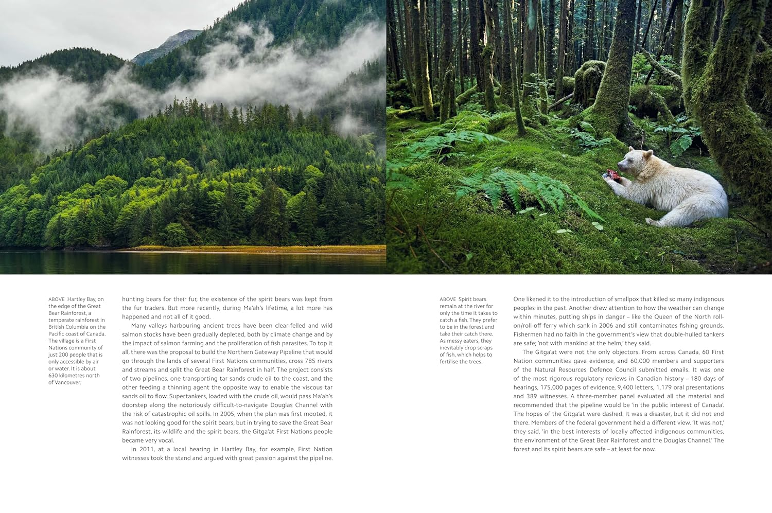 Planet Earth III: Accompanies the Landmark Series Narrated by David Attenborough image number 5