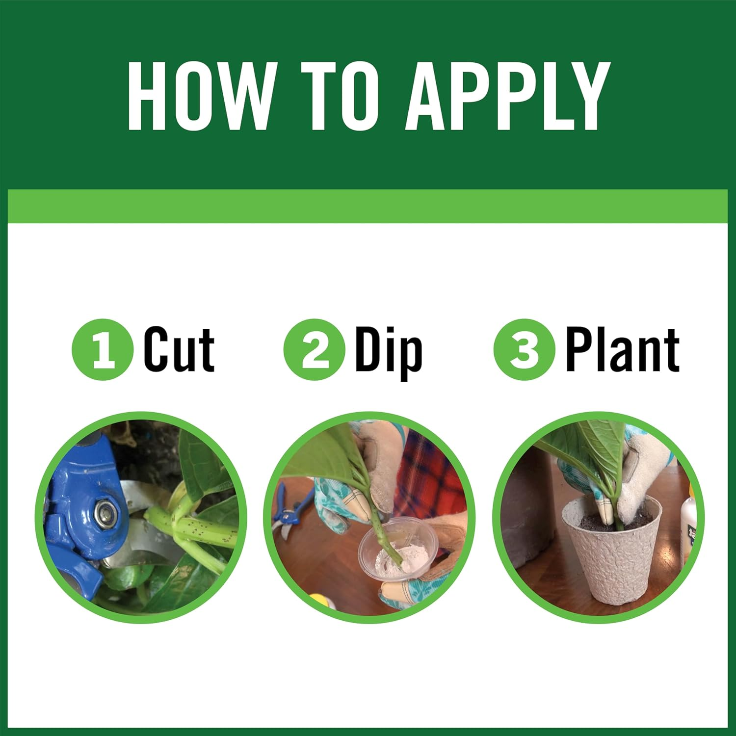 Rootboost Rooting Hormone 2 Ounces image number 3