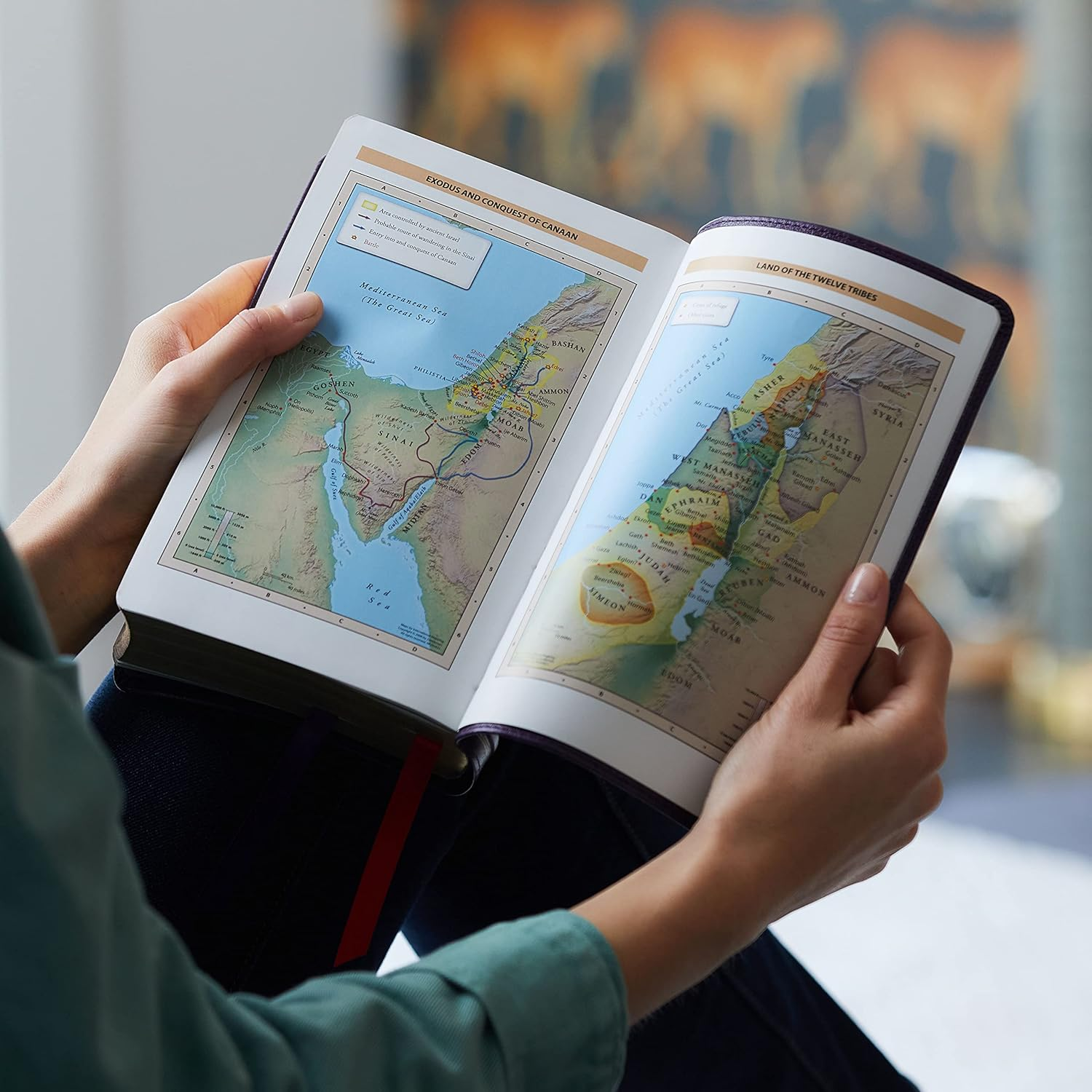 NKJV Personal Size Reference Bible, Sovereign Collection, Red Letter, Comfort Print [Black]: Holy Bible, New King James Version