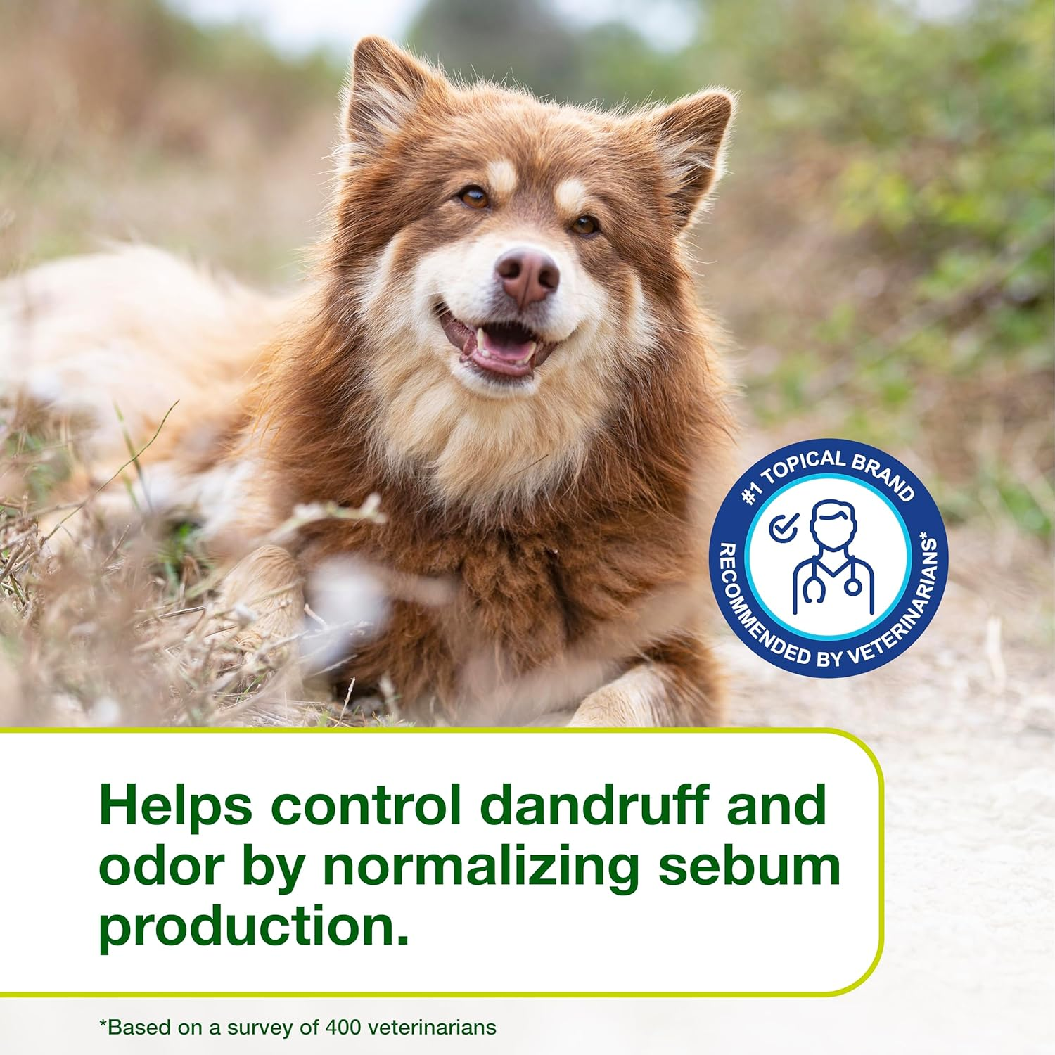 Douxo S3 SEB Mousse 5.1 Oz (150 Ml) - Relief for Seborrhea in Dogs and Cats (Helps with Oily to Flaky Skin) image number 1