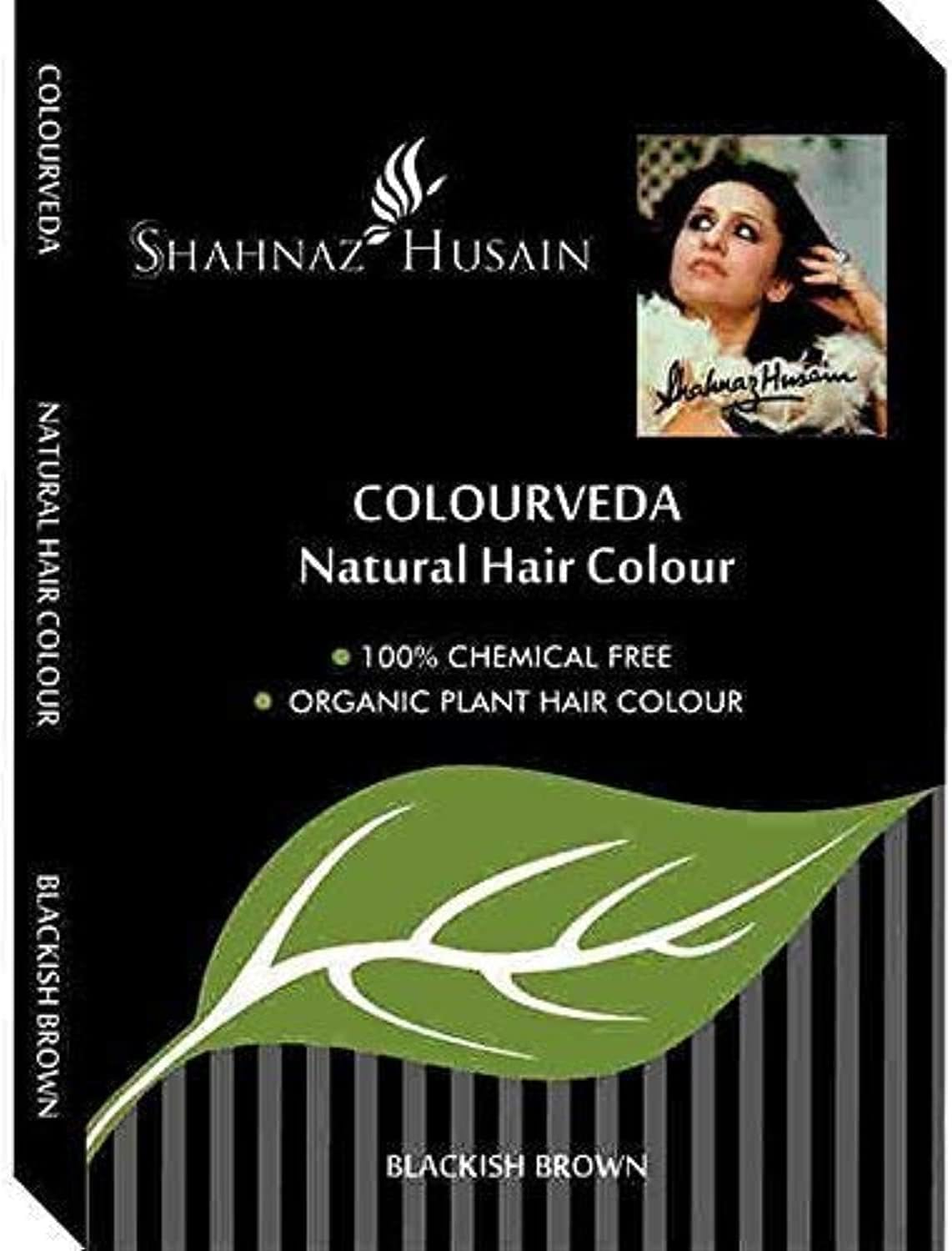 Shahnaz Husain Colourveda Natural Hair Colour Blackish Brown 100G (Pack of 3) image number 2