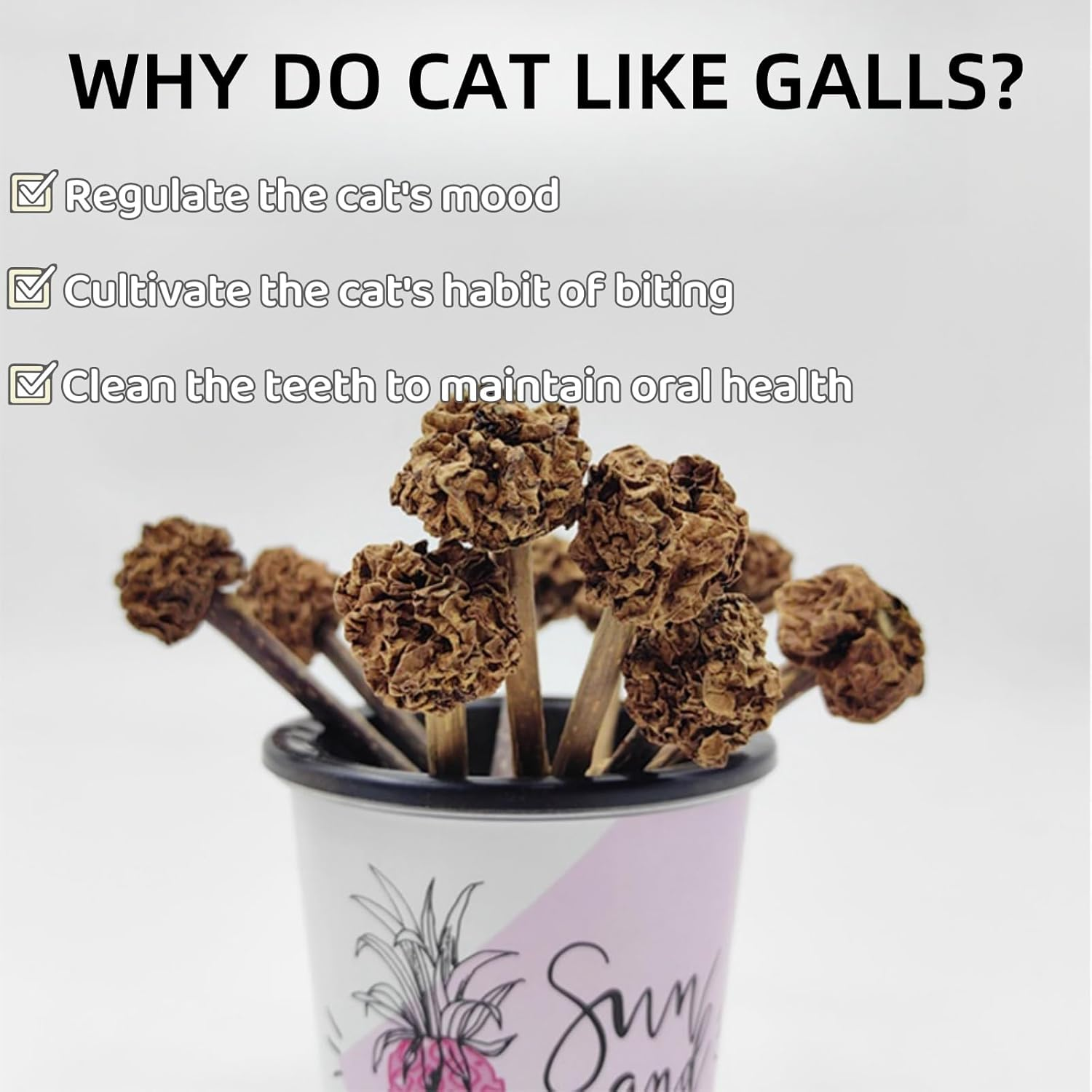 15PCS Natural Silvervine Gall Fruit with Perforated Holes - Cat Teething and Chew Toy for Teeth Cleaning, Mood Regulation and Appetite Improvement image number 2