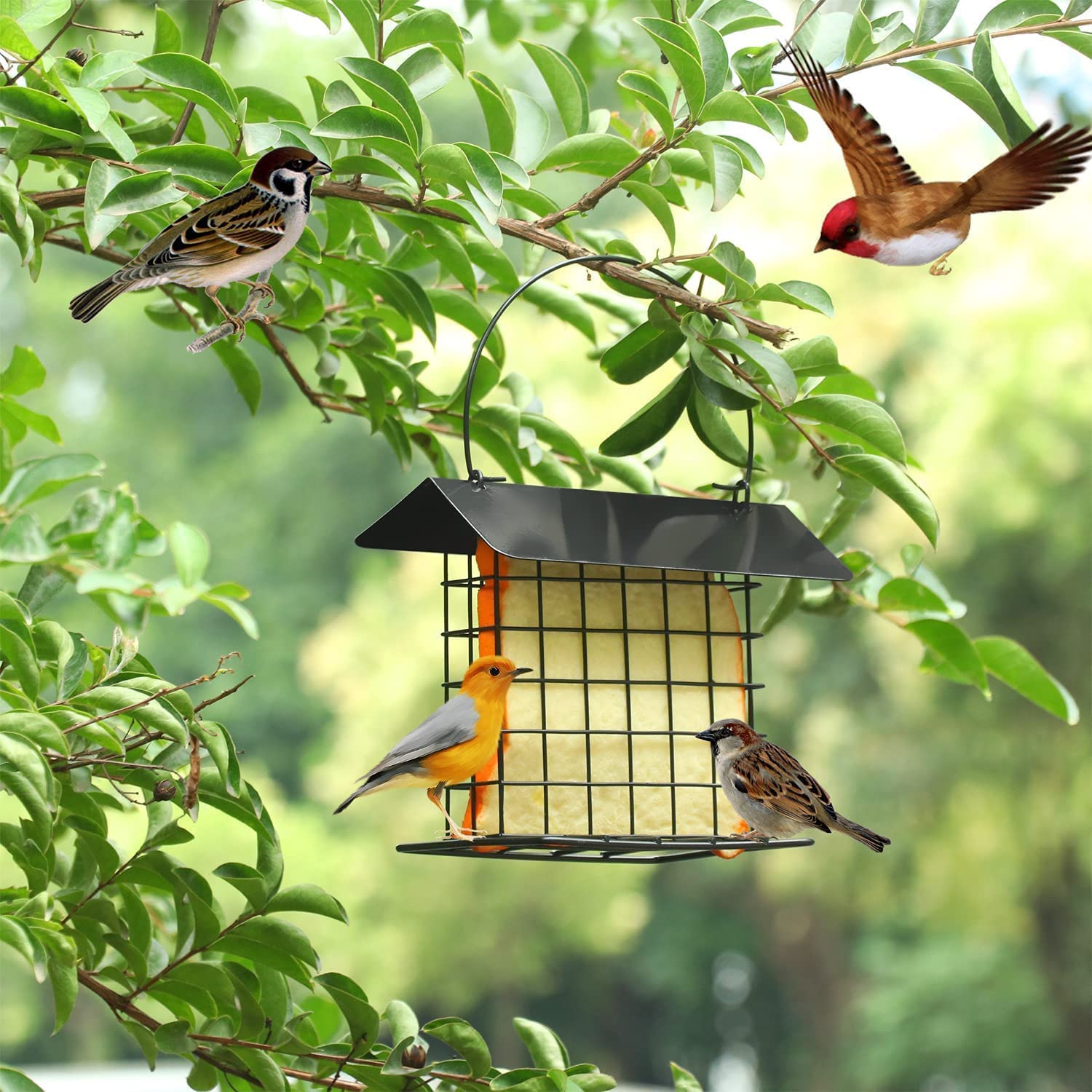 Outdoor Wild Bird Feeder, Hanging Bird Feeder,Rainproof Squirrel-Proof, Single Suet Cake Style for outside Office,Hanging Suet Feeder, Single Suet Cake Bird Feeder,For Bird Lovers image number 3