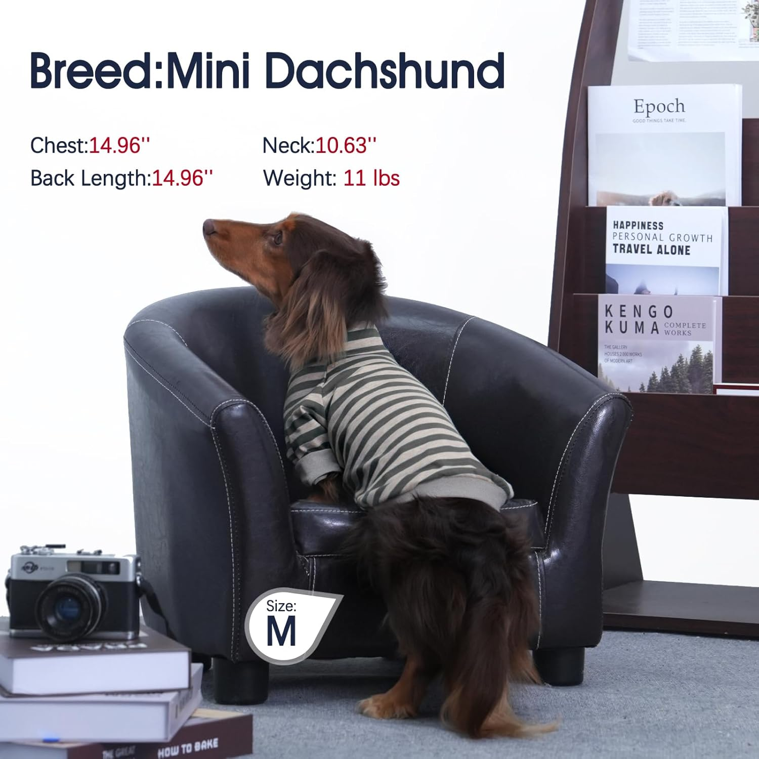 Iecoii 2 Packs|2Xlarge|High Neck Breathable Dog Pullover|Quick Dry Spring Fall Shirt|Soft Matching Pjs Homewear,Pet Top Underwear|Shedding Suit|Full Belly Coverage Sweatshirt,Grey Stripe+Grey image number 4