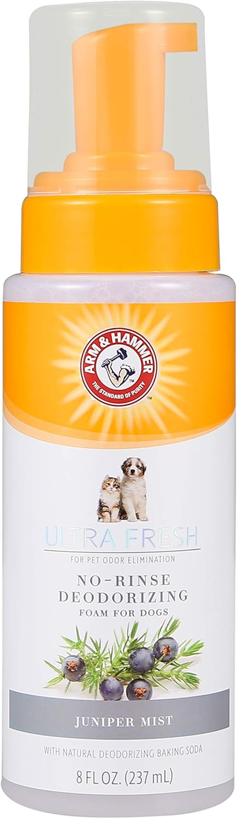 Arm & Hammer Ultra Fresh No-Rinse Deodorizing Foam with Cactus Water & Citrus FF12656, 237 Ml