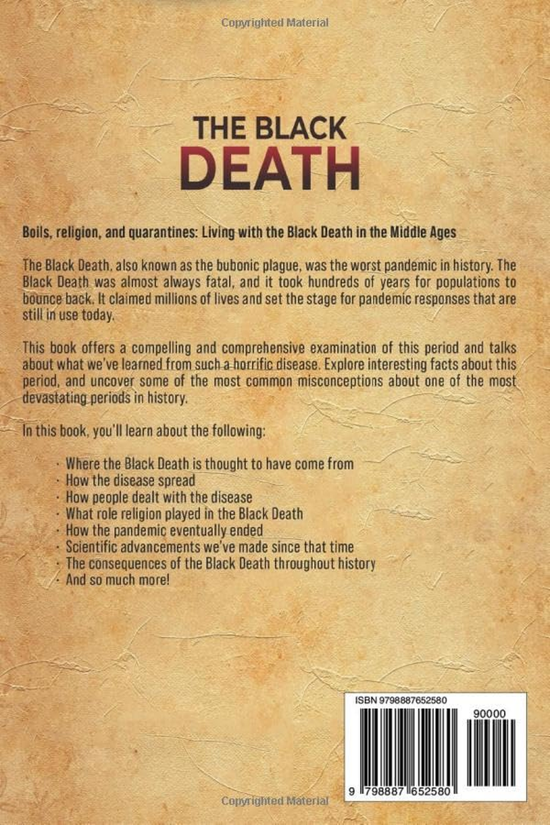 The Black Death: an Enthralling Overview of a Major Event in the Middle Ages image number 2