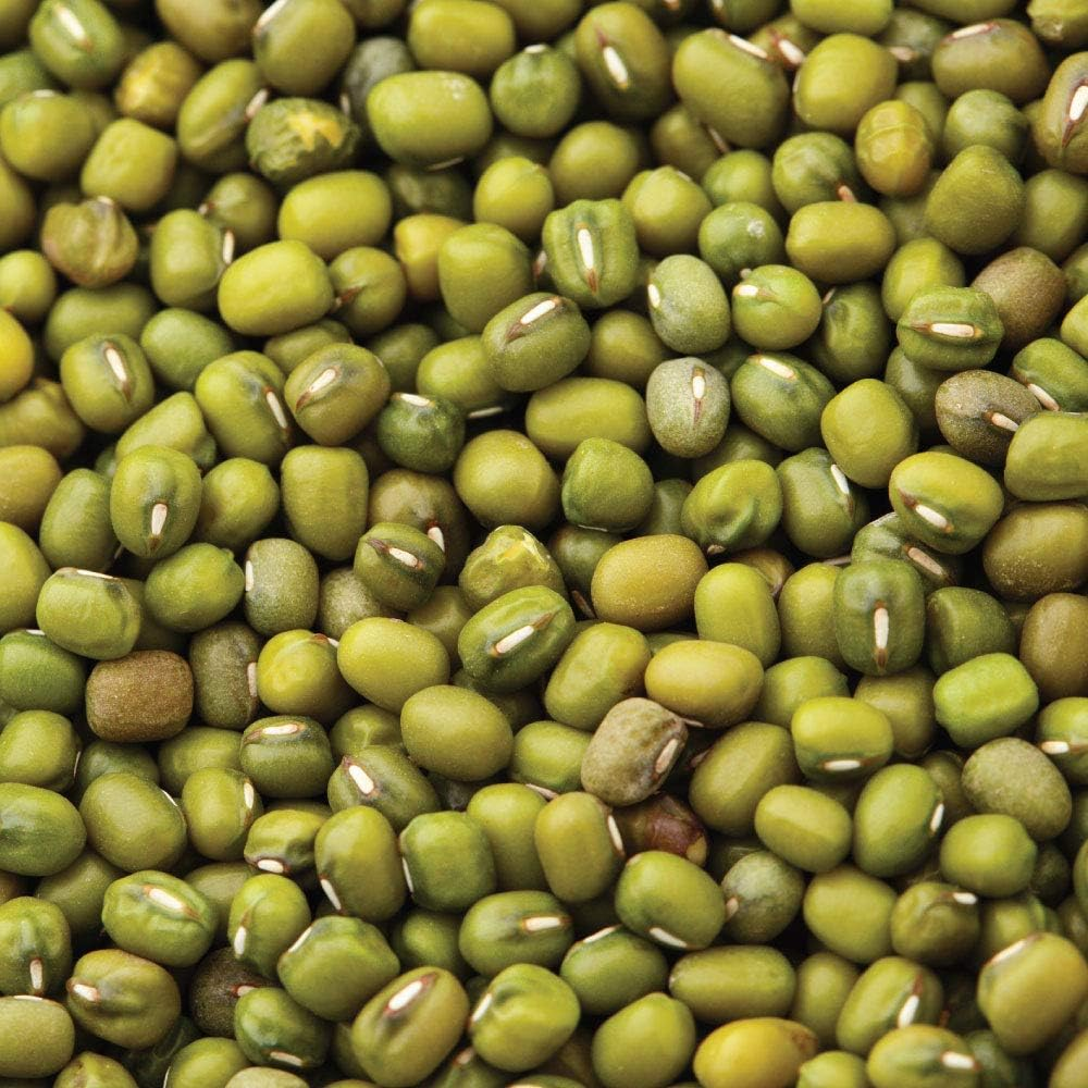 Honest to Goodness Organic Mung Beans, 5Kg image number 1