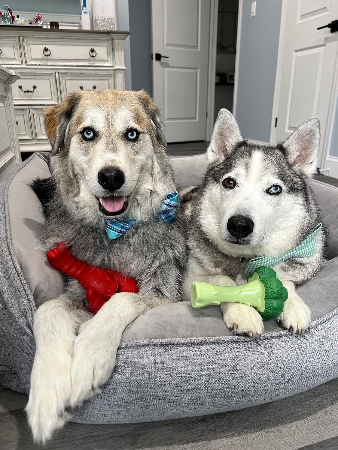 Nylabone Power Filet Mignon Lobster Dog Chew Toy, X-Large image number 2