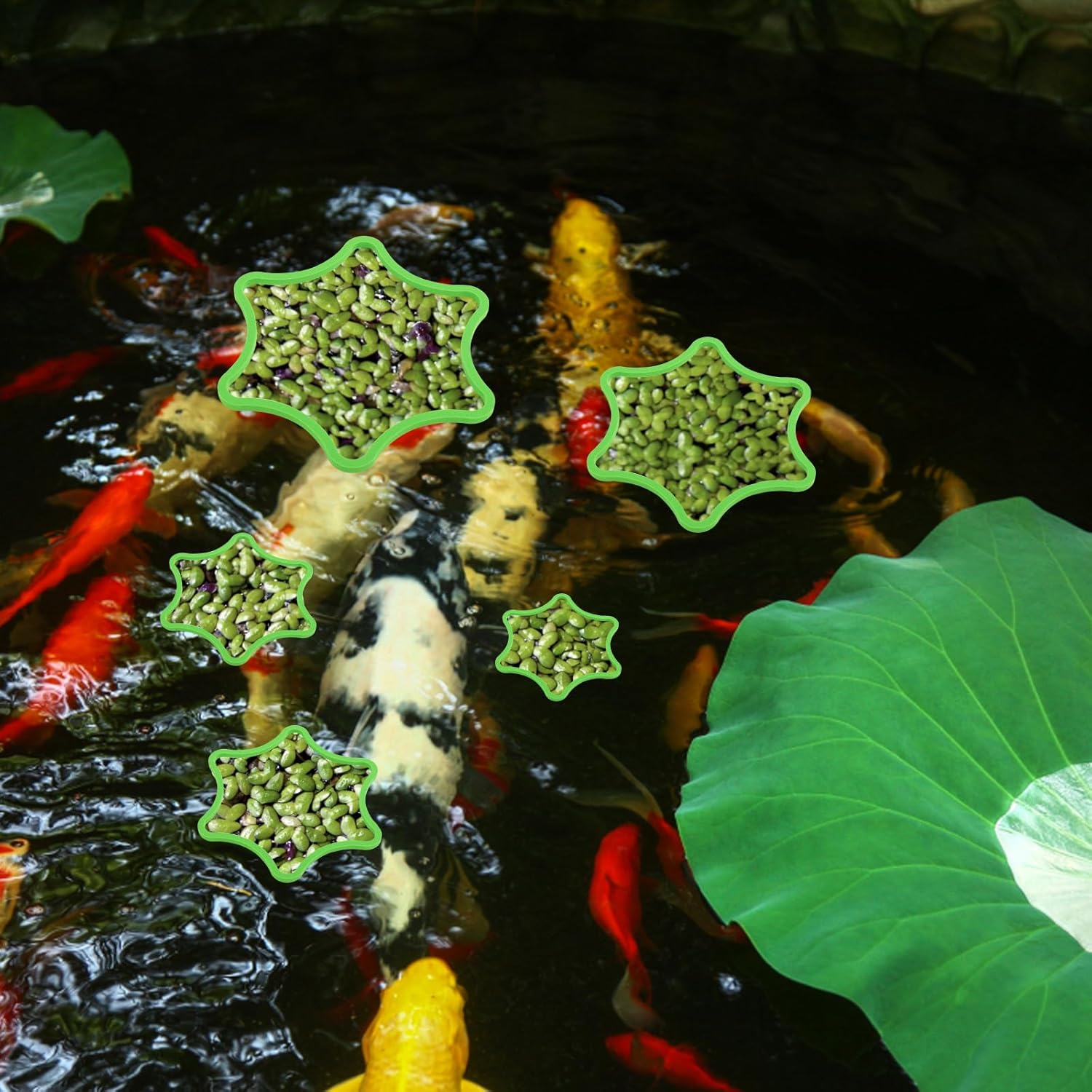 5Pcs Aquarium Floating Plant Rings, Foam Floating Plant Corral Flower Shaped Fish Feeding Rings Fish Tank Food Ring for Intercepting Floating Plants (Green) image number 6