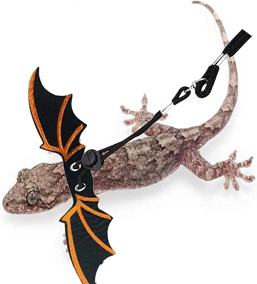 Lizards Leash Bearded Dragon Adjustable Small Reptile Animals Harness 3 Size Soft Leather Harness Lizards Leash with Wing for Small Medium and Large Reptile Animals (Black)
