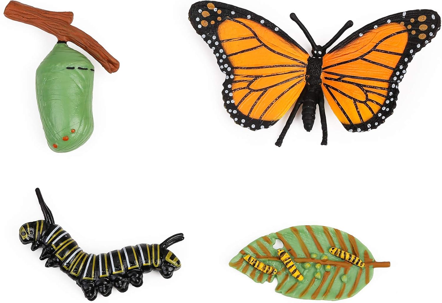 UANDME Life Cycle Figurines of a Monarch Butterfly and a Frog Realistic Education Insects Life Stages Figures for Learning and Teaching Aids
