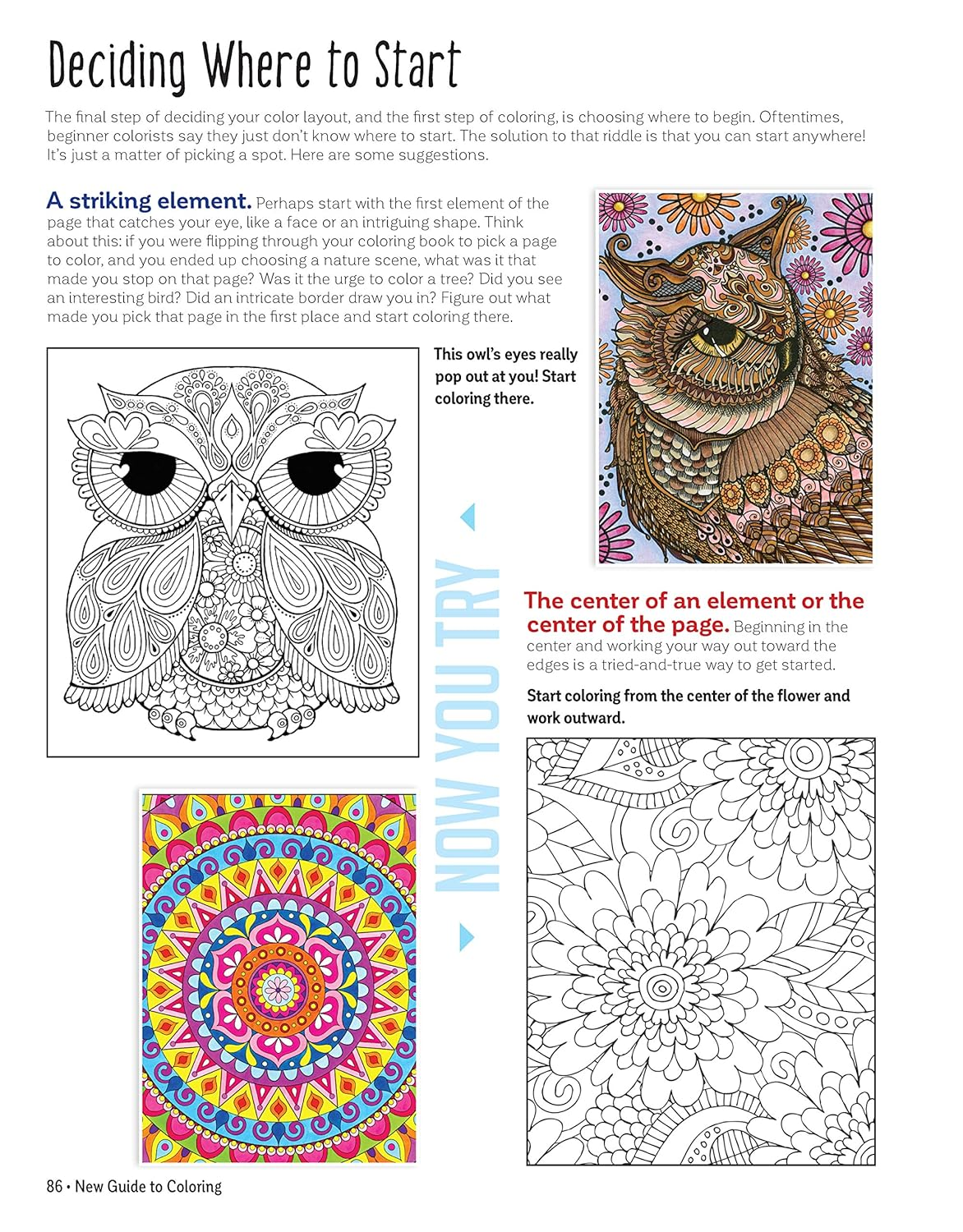 New Guide to Coloring for Crafts, Adult Coloring Books, and Other Coloristas!: Tips, Tricks, and Techniques for All Skill Levels! image number 3