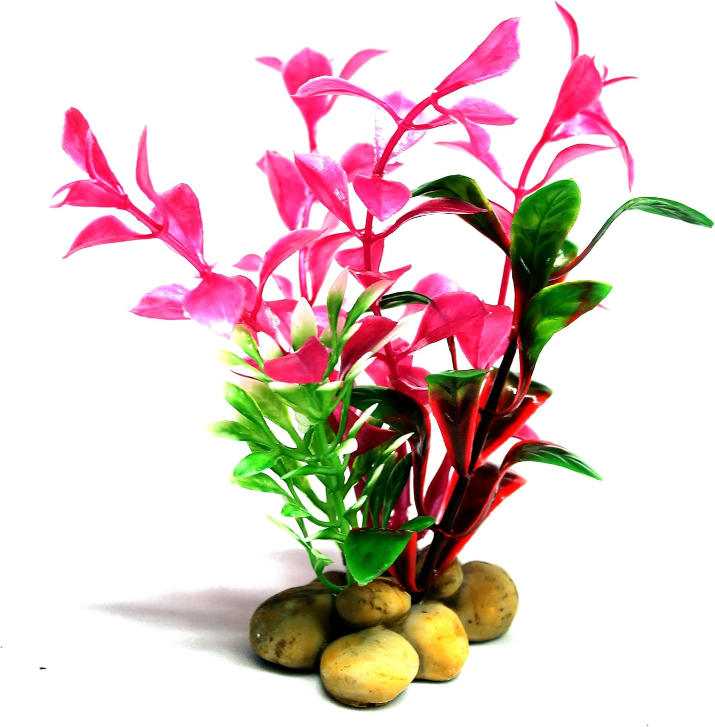 Aquatopia Pink Plant,