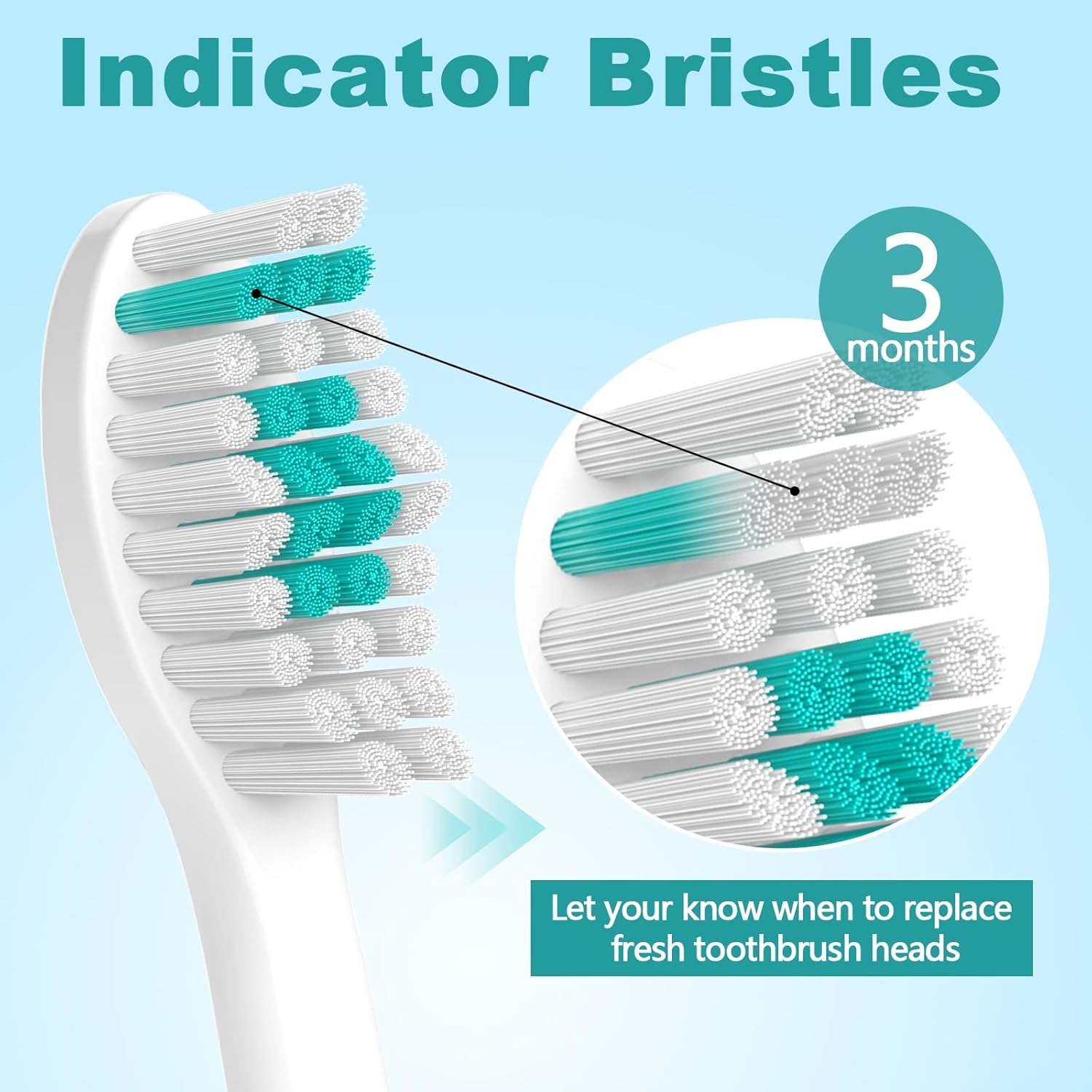 Aoremon Replacement Toothbrush Heads Compatible with Philips Sonicare E-Series, 6 Pack Replacement Brush Heads Come with Caps image number 4