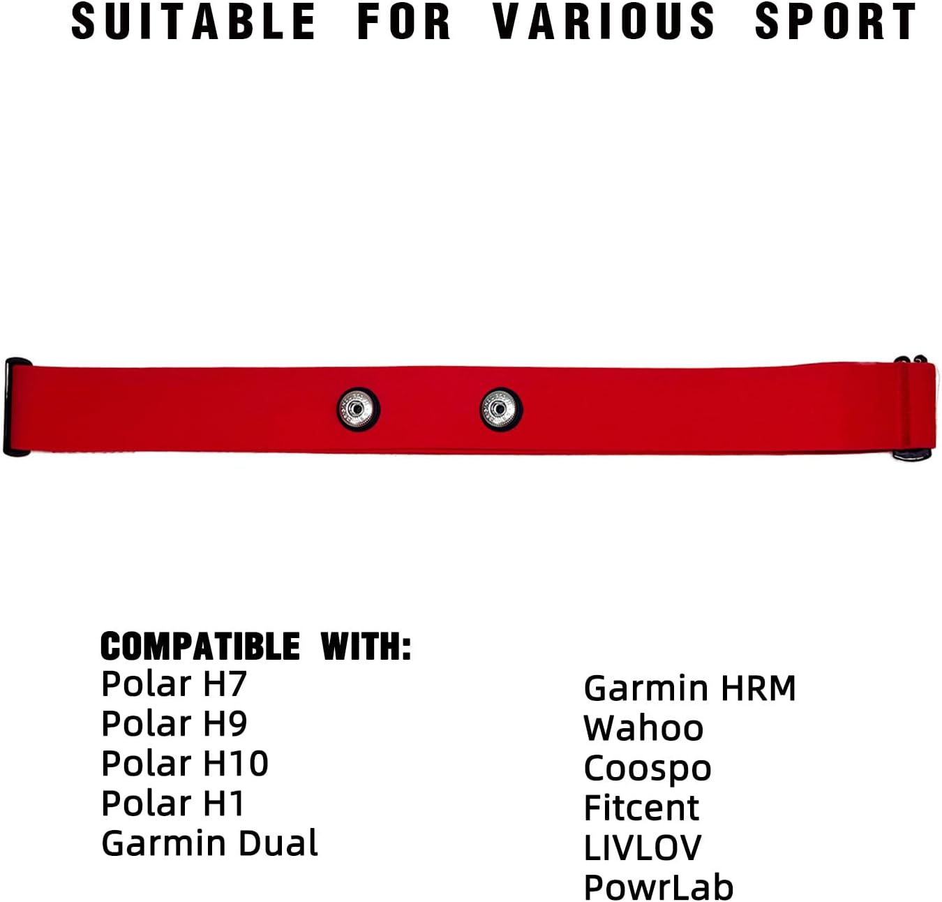 Polar Polar image number 7