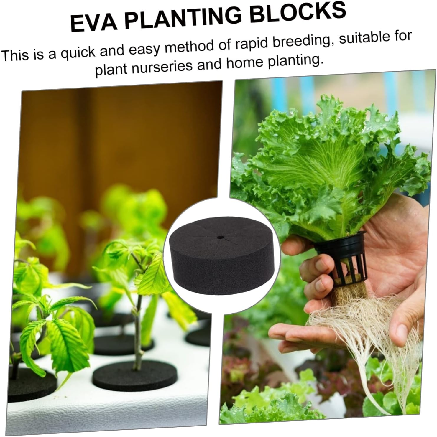BESPORTBLE 30 Pcs Soilless Cultivation Block Insert Foam Gardening Net Pots EVA Growing Sponge for Hydroponics Flowers Vegetables Family Balcony Garden Use image number 5