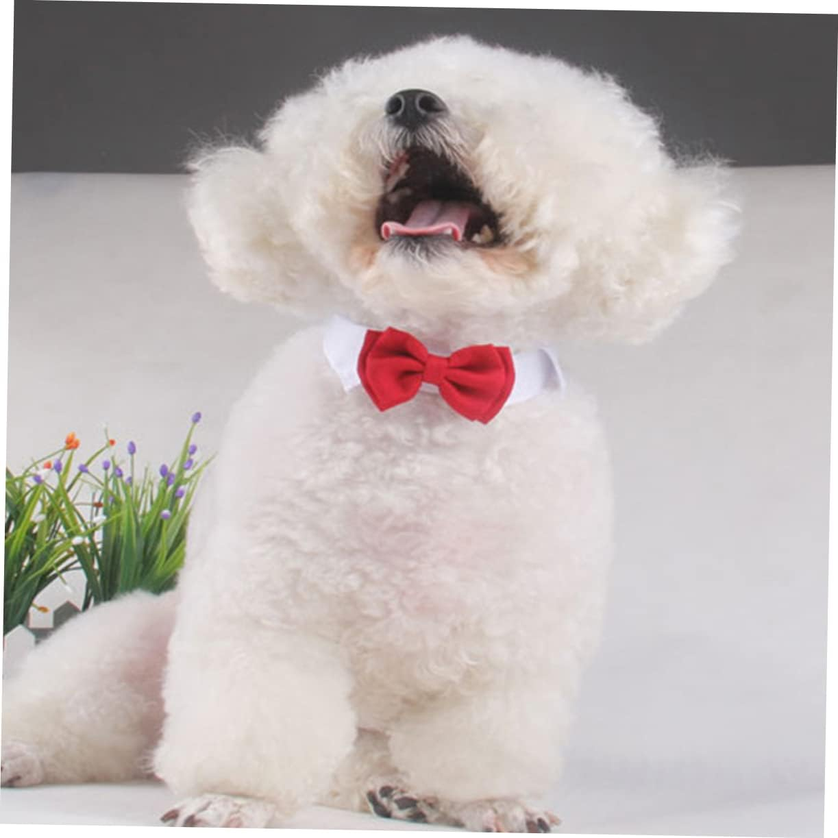 Ipetboom Pet Bowknot Collar Cat Cotton Tie for Daily Party Red Bow Tie Pet Supplies for Cat Accessories image number 2