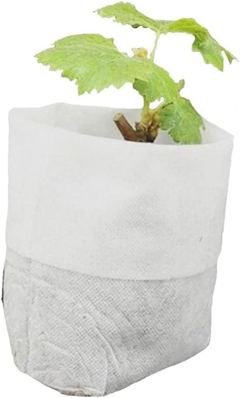 Domoi 400 Pcs Seeding Bags Small Plant Grow Bags Non-Woven Seedling Raising Pots Gardening Supply for Home Garden image number 3