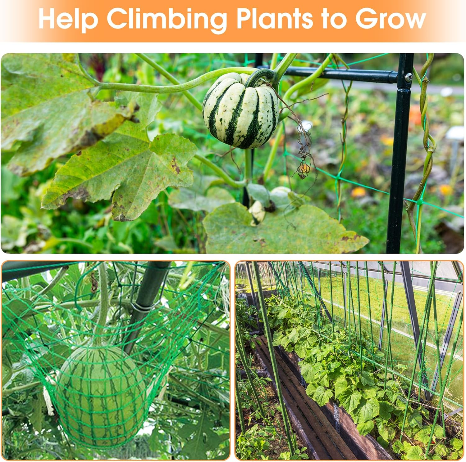 Trellis Net Cucumbers 5 X 1.8 M, Trellis Cucumbers with 50 Cable Ties, Climbing Plants, Tomatoes, Flowers and Other Vegetable Plants image number 5