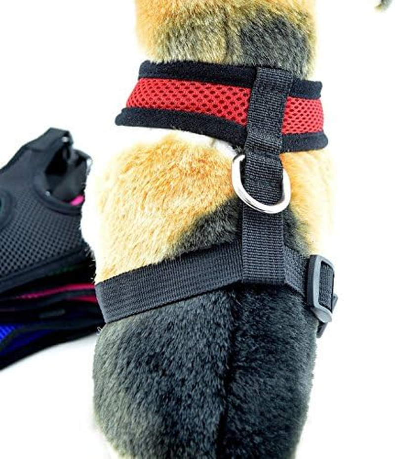 Extra Large Red Comfort Control Dog Harness (Red, S)