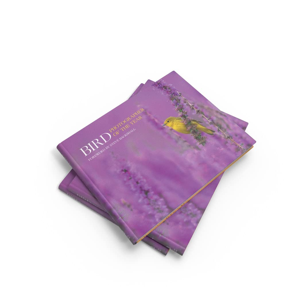 Bird Photographer of the Year: Volume 7 image number 5