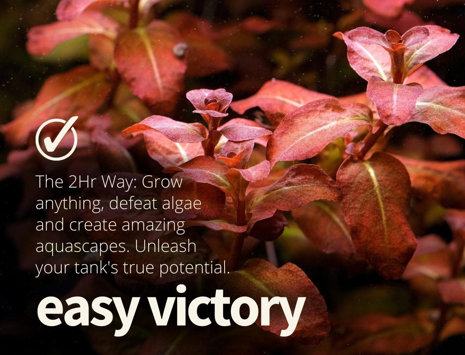 The 2HR Aquarist APT E/Estimative Index in a Bottle for Planted Aquariums (500Ml) image number 1