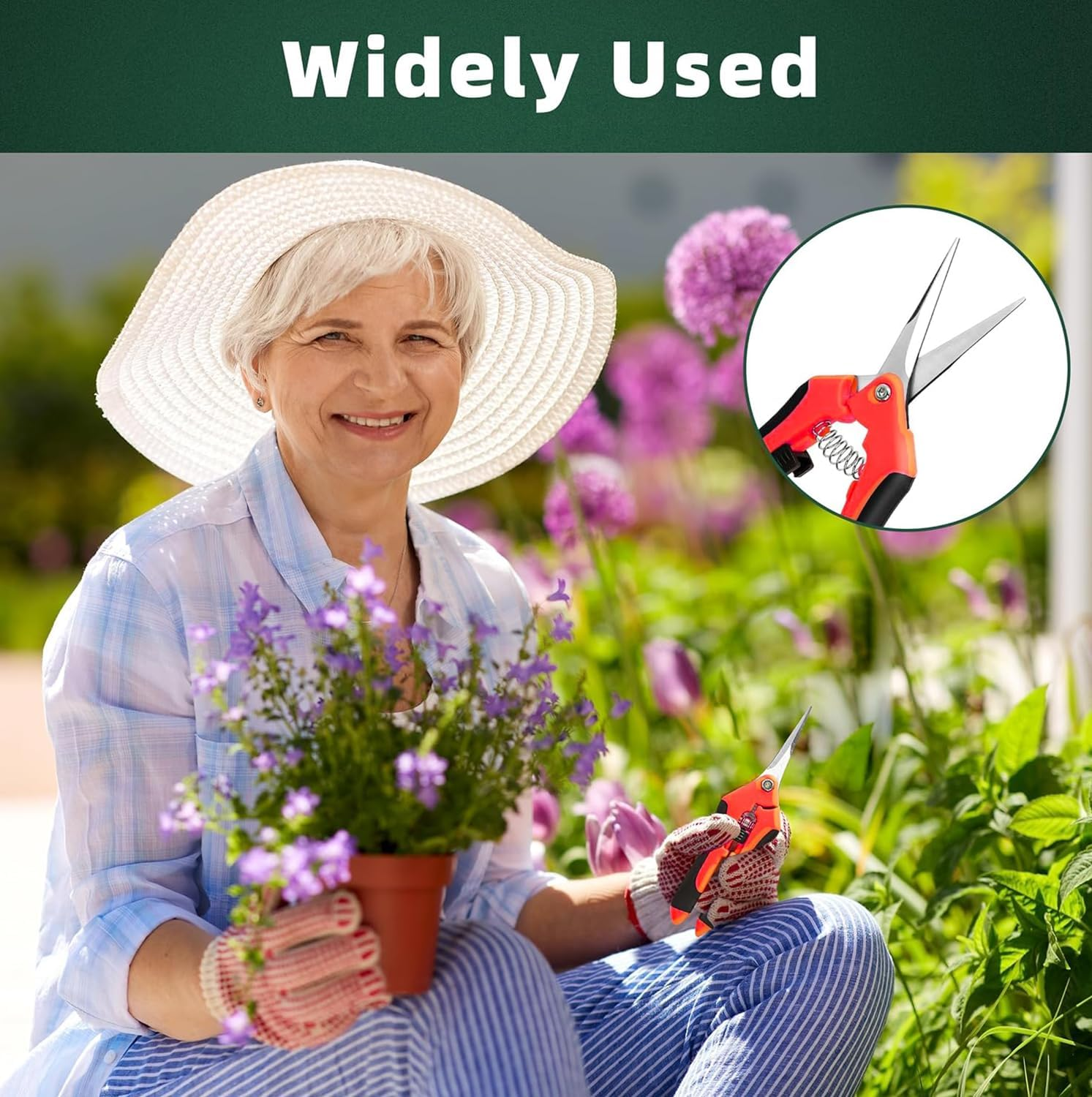 6 Pack Garden Pruning Shears,Hand Pruner Pruning Plant Shears with Gardening Gloves,Hydroponic Micro Garden Snip for Herb, Plant, Flower Cutting & Harvesting Small Tip Hand Pruning Shears image number 1