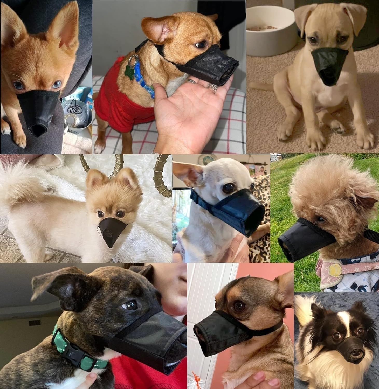 2 Pcs Dog Muzzle Soft Air Mesh for Small Dogs with Long Snout Quick Fit for Grooming Adjustable Prevent from Biting Barking and Chewing Soft Muzzle (Blue& Black, 4) image number 3