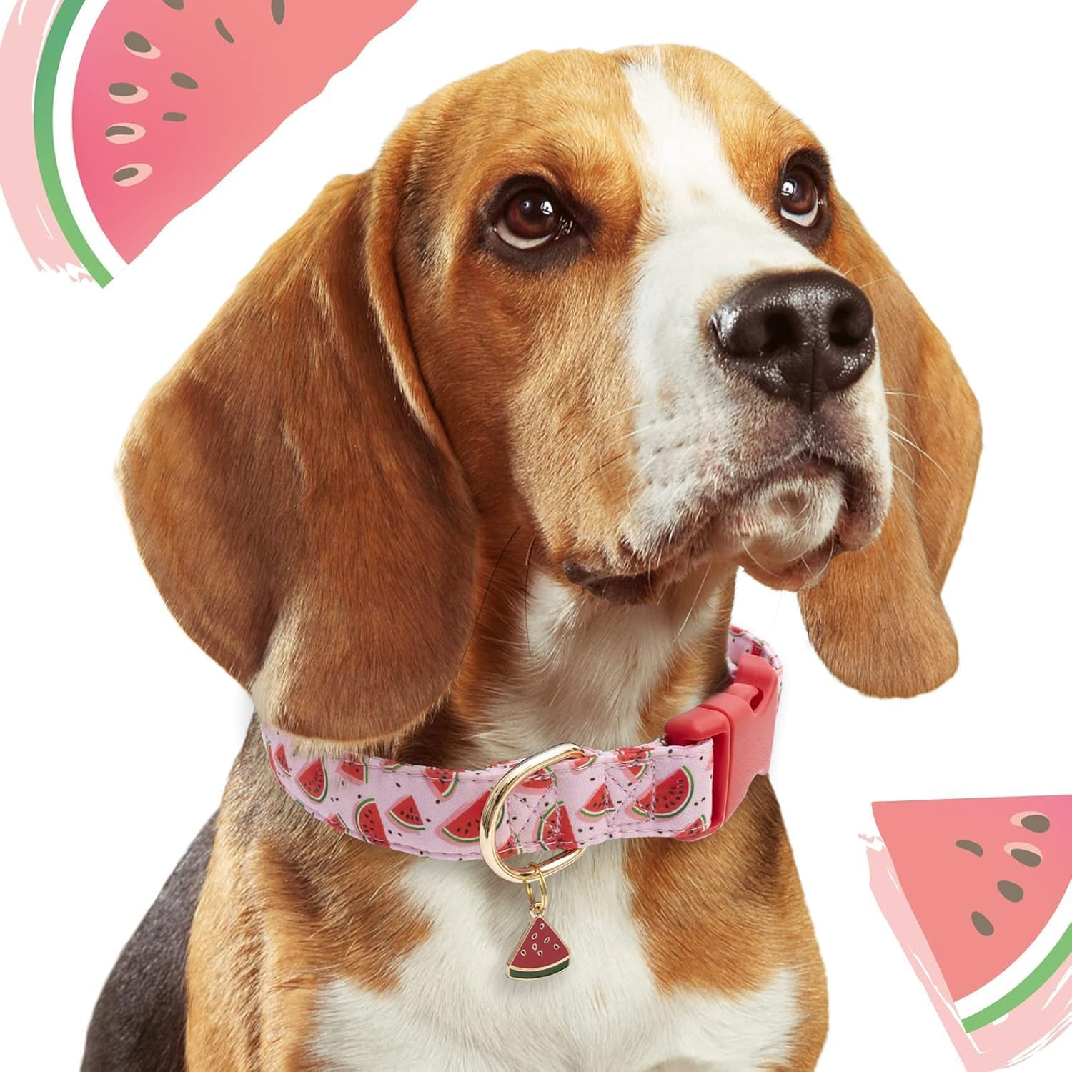 Dog Collars with Buckle Adjustable for Cute Female Boy Dogs,Special Soft and Fancy Dog Pet Collar with Flower Design for Small Medium Large Dogs (Red, M Width 2.0 Adjustable 31-50Cm) image number 5