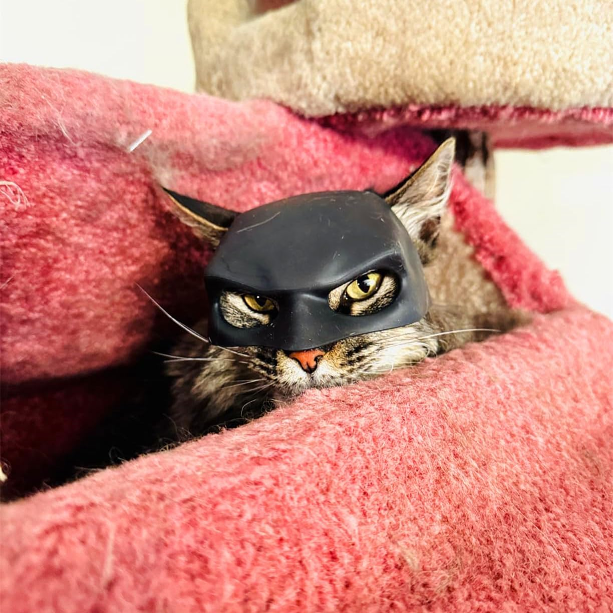 Cat Mask Cosplay, Cat Cosplay Hat, Cat Mask for Halloween Cosplay, Funny Cat Costumes Accessories （Black） image number 1