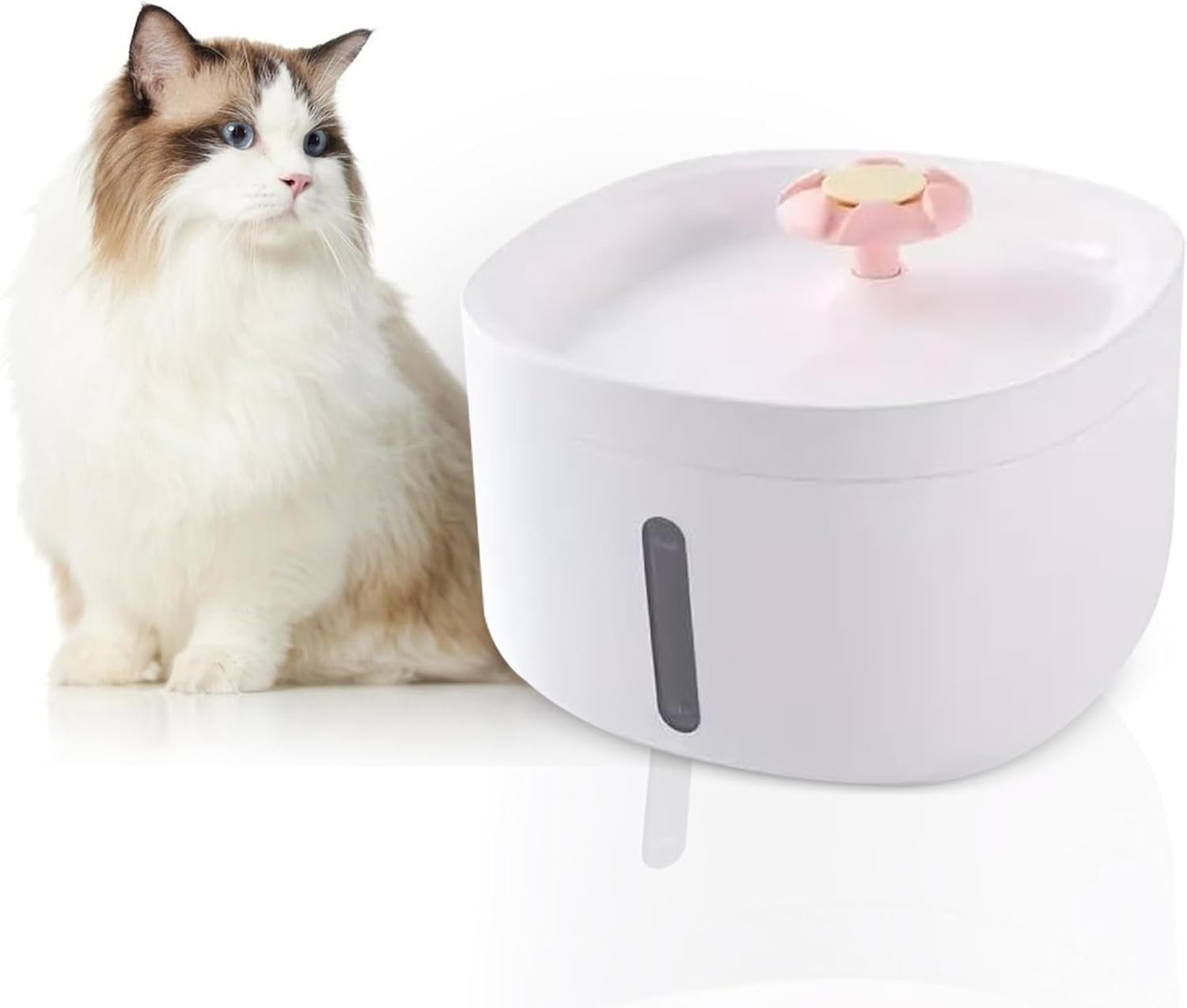 Tails and Treasure Cat Water Fountain with Quiet Pump: Pet Water Fountain, Dog Water Fountain, Automatic Cat Feeder, Cat Fountain, Water Filter for Cats and Dogs, Pet Water Dispenser with Quiet Pump image number 2