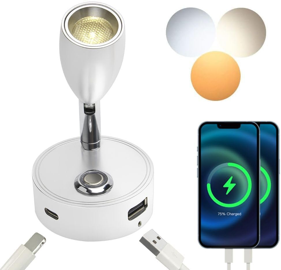 12V LED RV Reading Light with Dual Charging Ports, 3CCT Touch Control Dimmable12V Bedside Light Fixture Spotlight for Motor-House Camper Caravan Vehicle Vessel Boat Yacht (Silvery)