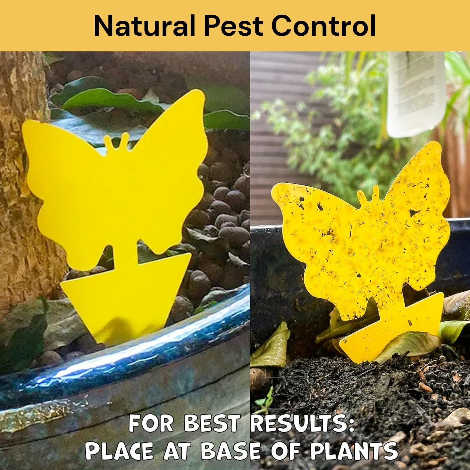 EZONEDEAL 12 PCS Sticky Traps, Yellow Dual-Sided Sticky Insect Catcher with Twist Ties Fruit Fly Fungus Gnat Trap for Whiteflies Mosquitos Fungus Aphids Leafminers Indoor Outdoor Use image number 1