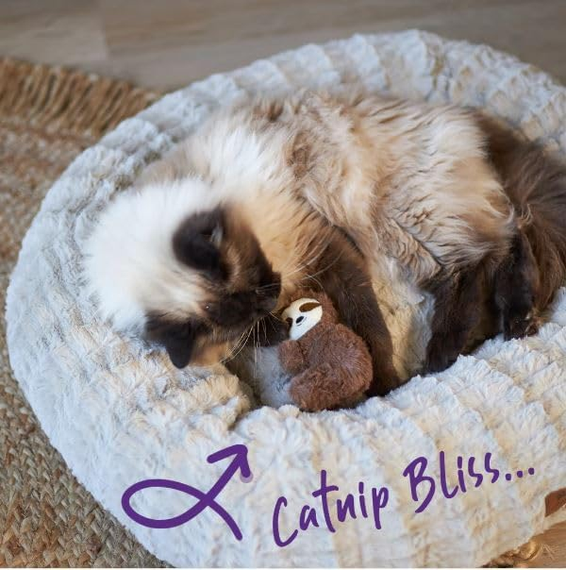 Kazoo Jungle Sloth Cat Toy image number 3