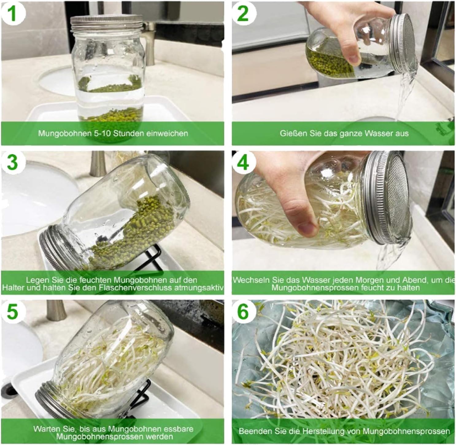 2-Piece Sprouting Jar Kit, Glass Jars with Stainless Steel Germination Covers, Adjustable Drainage Stand, Indoor/Outdoor Use, Clear image number 2