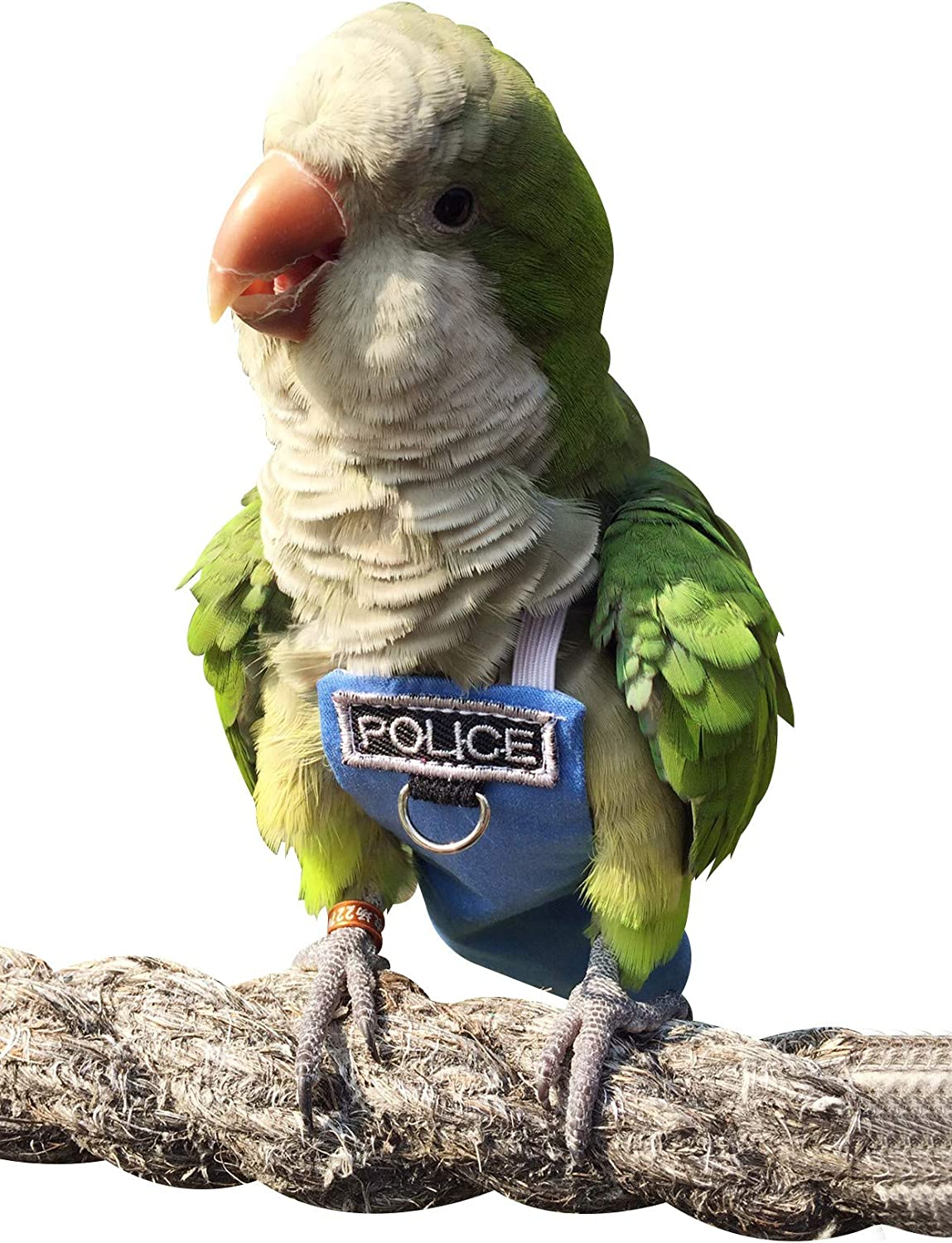 Poli(L) Bird Flight Suits & Diapers - Reusable, Waterproof Pet Bird Supplies