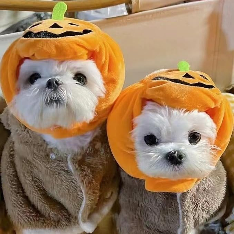 Dog Halloween Hat Kitten Pumpkin Cap Puppy Party Cosplay Dress Cat Pumpkin Costume Funny Pet Headgear Festival Head Accessory for Cat and Small Dogs (Orange, L) image number 2