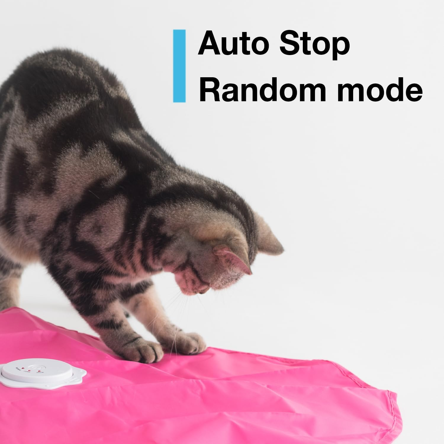 Interactive Cat Play-Catch the Tail-Electric, Rotating Feather , Motion, Automatic, Best Undercover Mouse under Blanket Cat Toy image number 2