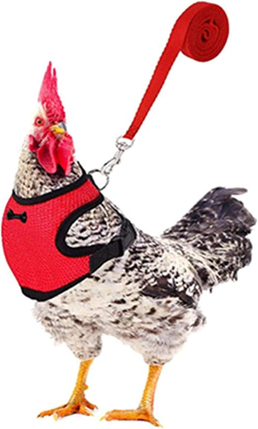 Duck Harness and Leash,Adjustable Duck Harness with Leash and Matching Belt - Comfortable Hen Vest Breathable Mesh Chicken Training Harness and Leash for Duck Small Pets Qincu-Au