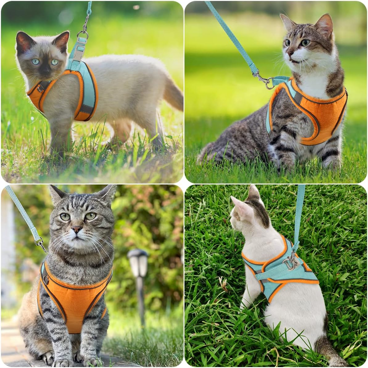 ORIA Pet Harness and Leash Set, Adjustable Dog Harness Cat Harness, Breathable Pet Vest, Reflective Strips Jacket for Walking, for Small Kitten, Puppy -Orange & Blue, XXS image number 6
