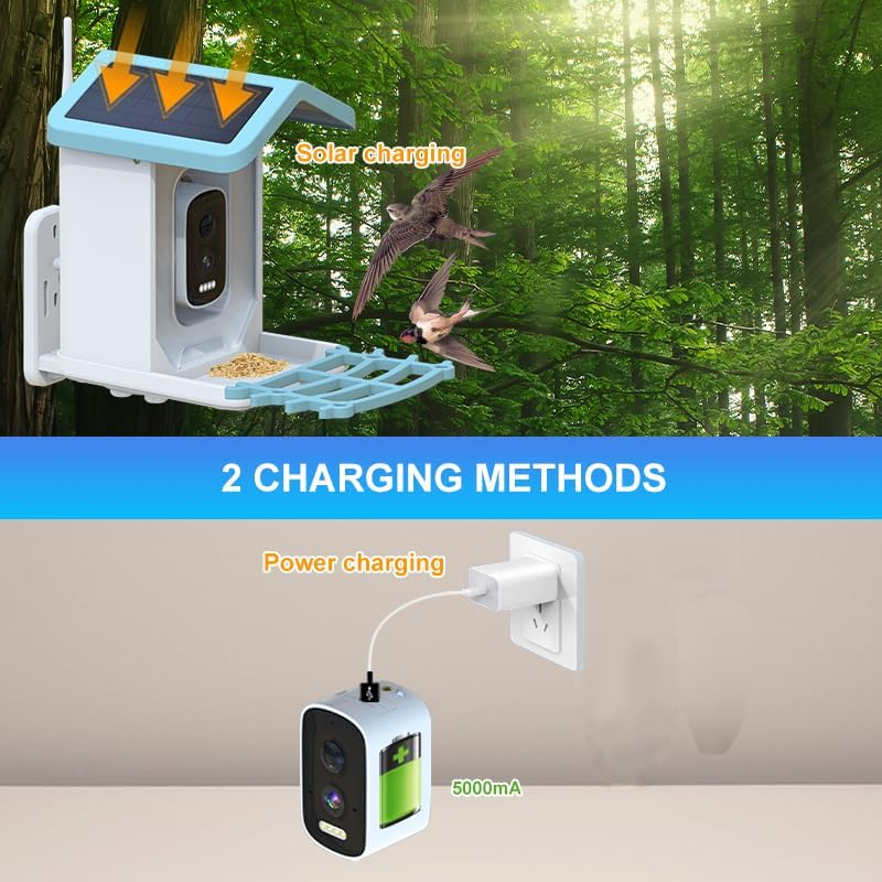 Smart Bird Feeder with 4MP High-Definition Camera Night Vision IP65 Waterproof Wifi Automatic Bird Feeder with Solar Powered Outdoor Bird Feeder image number 6