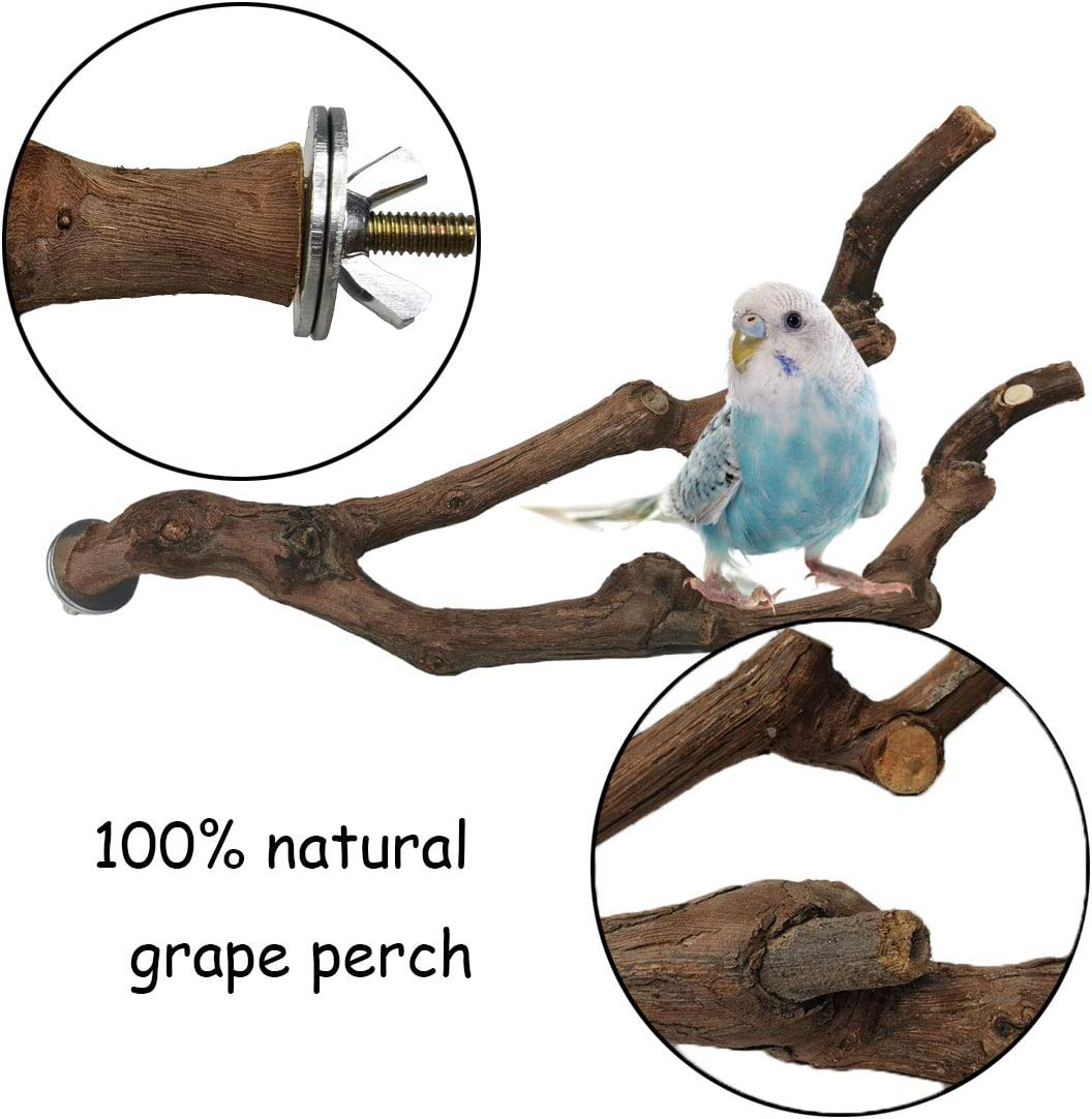 Kathson Natural Parrot Perch Bird Stand Pole Wild Grape Stick Paw Grinding Fork Parakeet Climbing Standing Branches Toy Chewable Cage Accessories for Small Budgies Cockatiels Lovebirds 3PCS image number 6